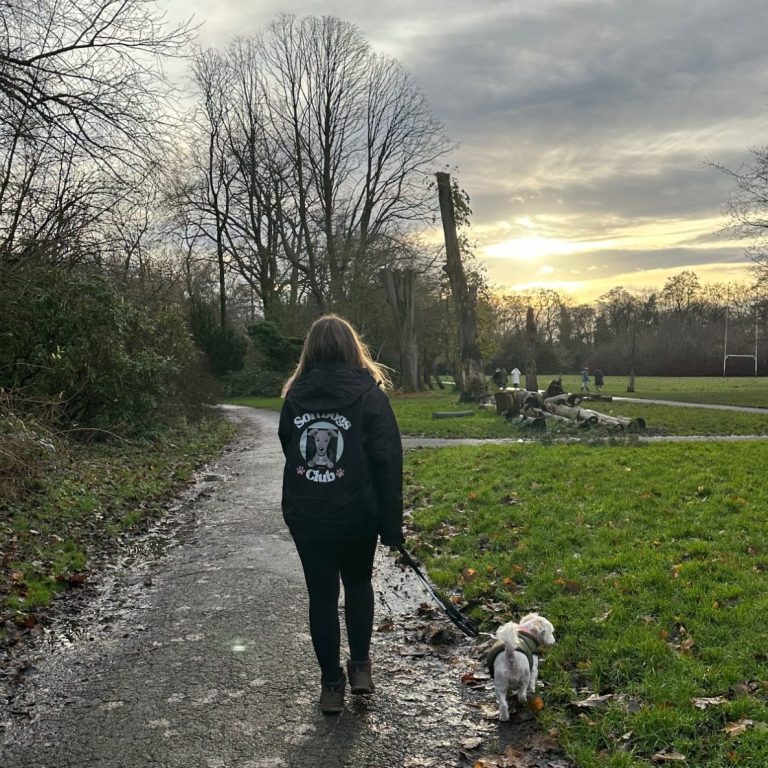 A person walking a small dog along a path in a park at sunset.